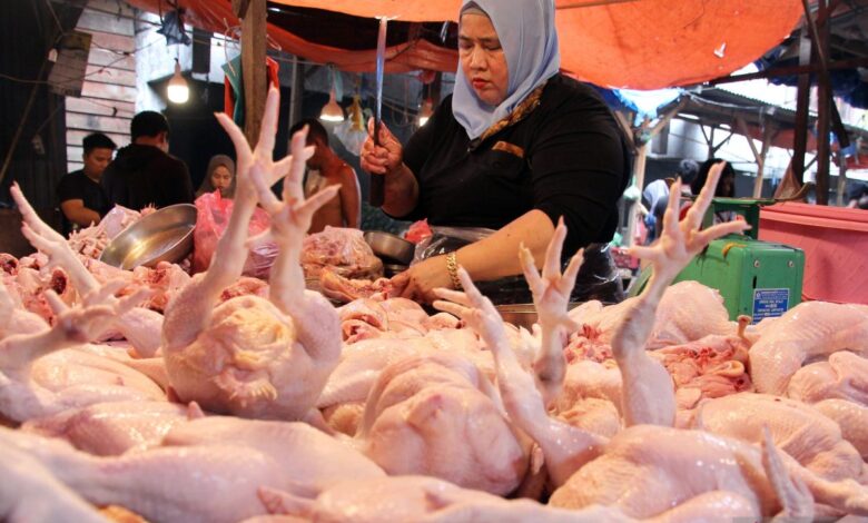 Pengaruh bahaya di area tempat balik daging ayam mentah yang dimaksud yang disebutkan ancam kondisi tubuh
