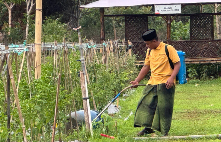 Berkat Inovasi Proyek Eco-edufarming, PHE WMO Kembali Raih PROPER Emas 2024
