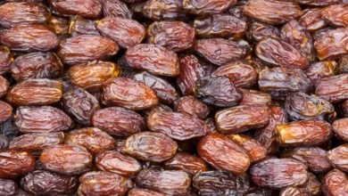 Kenapa Kurma Bagus untuk Berbuka Puasa? Inilah 5 Manfaat yang digunakan dimaksud Bisa Didapat