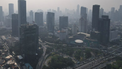 Makin Suram, OECD Pangkas Proyeksi Kondisi Keuangan Indonesia Jadi 4,9% di dalam pada 2025