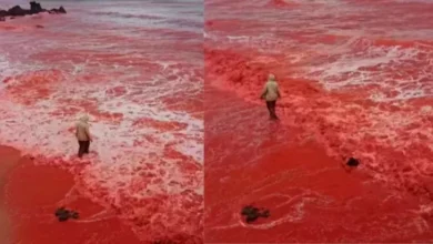 Pantai pada Iran Tiba-tiba Berubah Warna Menjadi Merah Darah