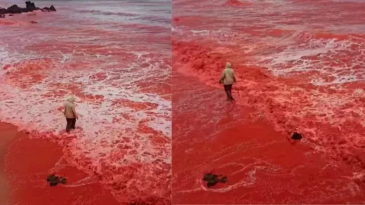 Pantai pada Iran Tiba-tiba Berubah Warna Menjadi Merah Darah