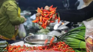 Update Harga Pangan Mingguan 9 Maret 2025, Bawang, Cabai juga Beras Masih Naik