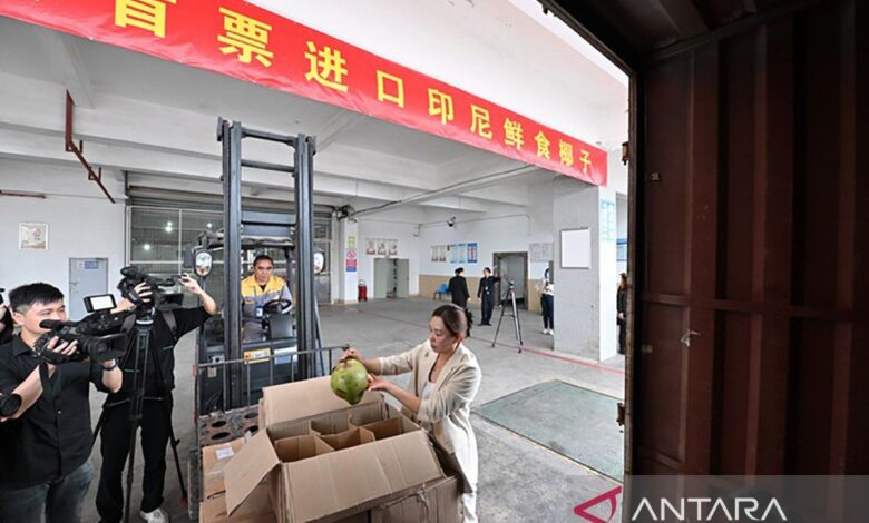 China impor batch pertama kelapa segar dari Indonesi