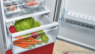 Sederet makanan yang dimaksud mana sebaiknya tak ada disimpan ke “freezer”
