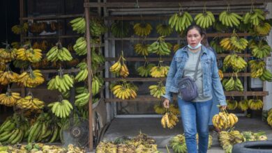 Tips simpan pisang agar tidaklah ada cepat hitam dan juga lembek
