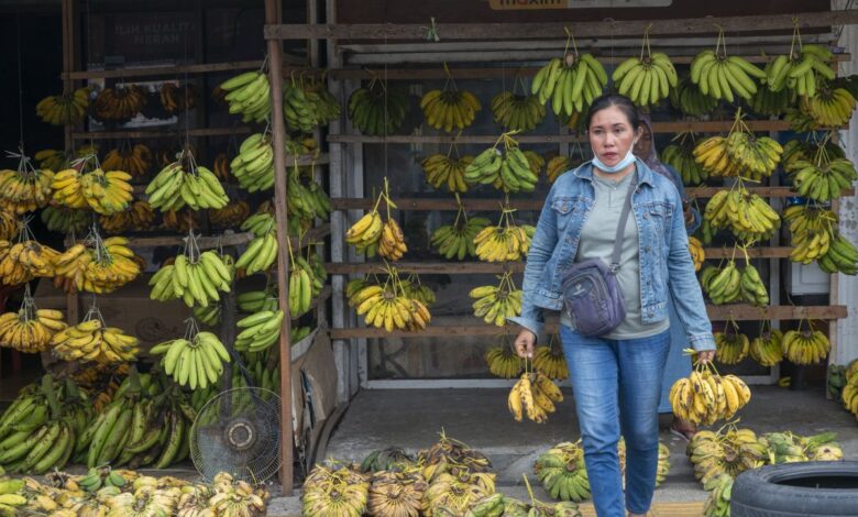 Tips simpan pisang agar tidaklah ada cepat hitam dan juga lembek