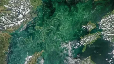 Lautan Pertama di Bumi yang dimaksud Tidak Berwarna Biru Ditemukan