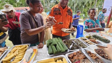 Menyukseskan inisiatif MBG melalui penguatan pangan lokal di dalam Papua