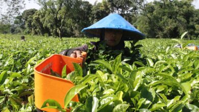 Perbedaan karyawan tak lama kemudian buruh: Definisi, hak, dan juga status pekerjaan